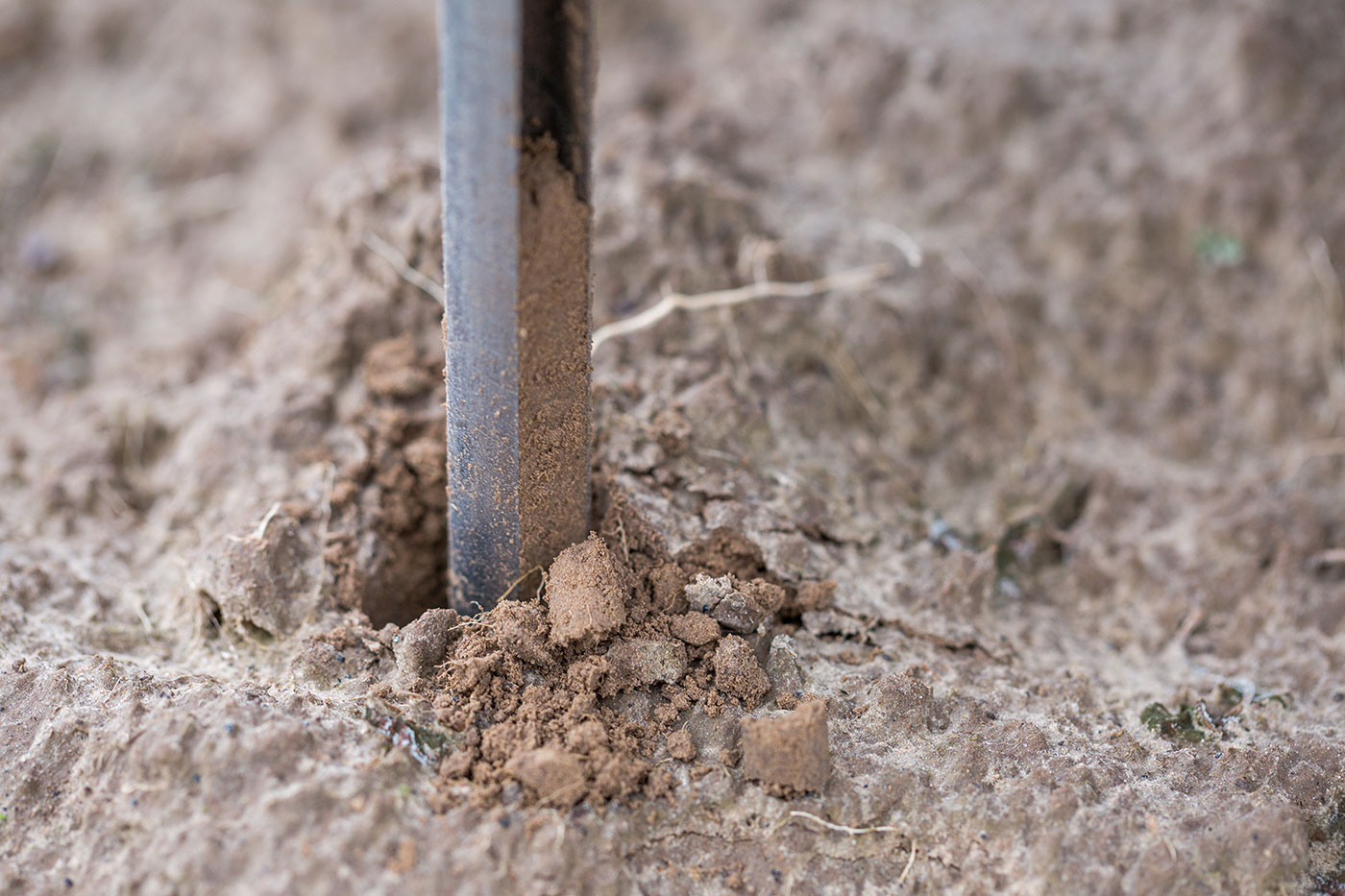 soil sampling with core sampler